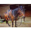 Barrydale Barefoot® sedlo