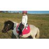 Cheyenne "Bellis" Barefoot® pony sedlo