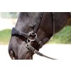 Barefoot® Bitless Bit Hackamore