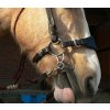 Barefoot® Bitless Bit Hackamore