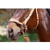 Hackamore "Flower"
