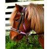 Uzdečka “Walnut“ Pony