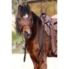 Uzdečka “Walnut“ Pony