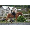 Bareback pad Iberica Plus Christ®
