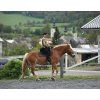 Bareback pad Iberica Plus Christ®
