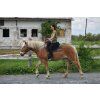 Bareback pad Iberica Plus Christ®
