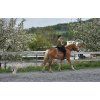 Bareback pad Iberica Plus Christ®