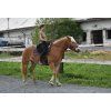 Bareback pad Iberica Plus Christ®