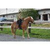 Bareback pad Iberica Plus Christ®