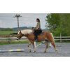 Bareback pad Iberica Plus Christ®