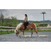 Bareback pad Iberica Plus Christ®