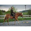 Bareback pad Iberica Plus Christ®