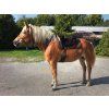 Bareback pad Iberica Plus Christ®