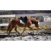 Ghost® sedlopad Buttera