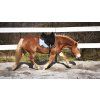 Ghost® sedlopad Buttera