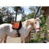 Ghost® sedlopad/sedlo Buttera