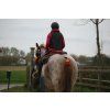 Ghost® sedlopad/sedlo Buttera