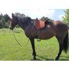 Ghost® sedlopad/sedlo Buttera