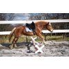 Ghost® sedlopad Buttera