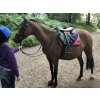 Sedlo Easytrek PONY