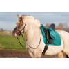 1.1902.1270 EDIX Zyba dressage saddle IMG 9367