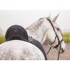 1.1902.1270 EDIX Zyba dressage saddle IMG 8950