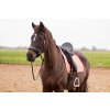 1.1902.1270 EDIX Zyba dressage saddle IMG 9089