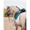 1.1902.1270 EDIX Zyba dressage saddle IMG 0666