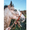 EDIX ED3 Westernbridle and bosal with horsehair mecate