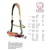 maatvoering ED 4 bridle scaled