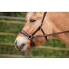 EDIX ED2 Nyra sidepull bridle brown cob sized English suspension reins