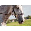ED4 Classic hackamore bridle brown Sharon Plugge 2