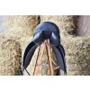 Drezurní sedlo s flexi kostrou ZZ Dressage s opěrkami vel. 16,5"