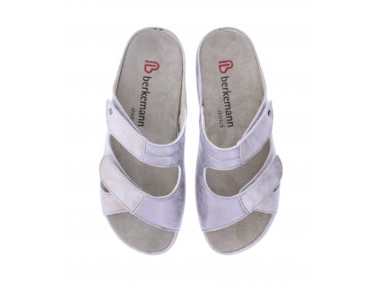 01027 642 Berkemann Janna Altsilber00a