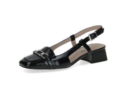 WO 9 29501 44 017 300