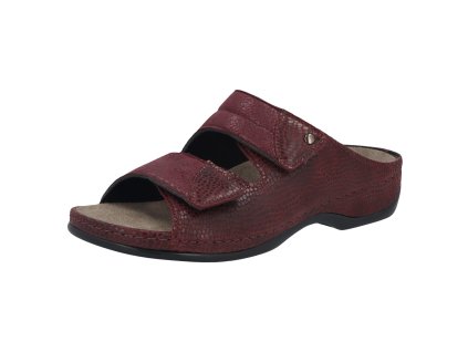 5 01021 00218 01 01 b80ec16644230634af25cfc03d0d3a0f 1920x1920