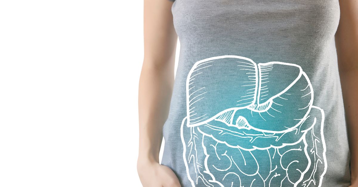 Bacillus coagulans: Probiotiká novej generácie pri IBS a SIBO