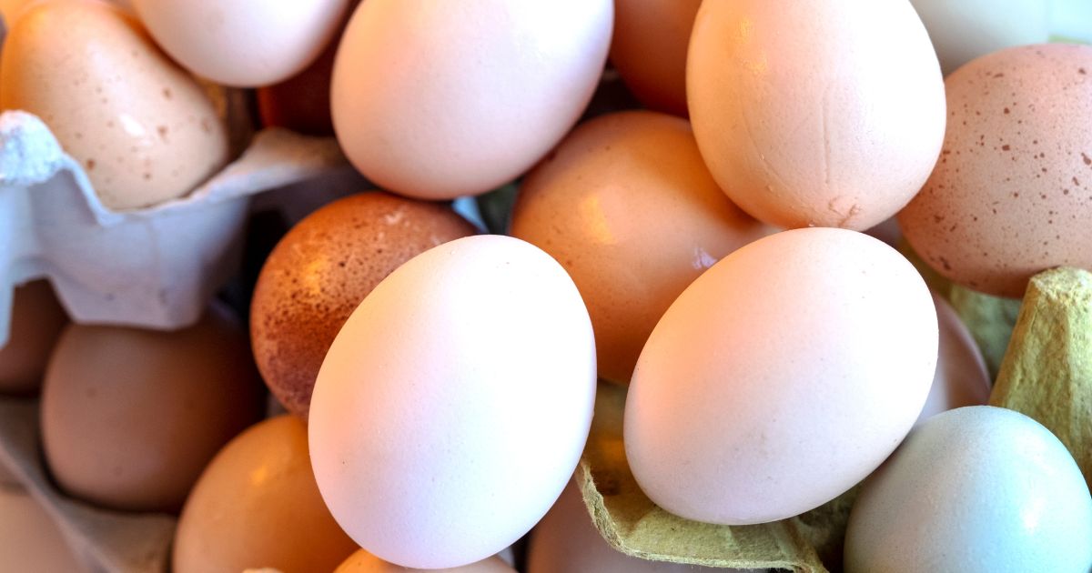 Cholín a TMAO: Prečo sa vajíčok a fosfatidylcholínu nemusíte báť