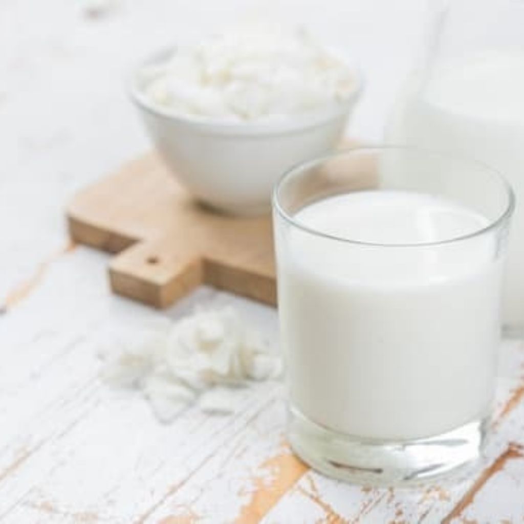 Domáce kokosové mlieko (AIP)