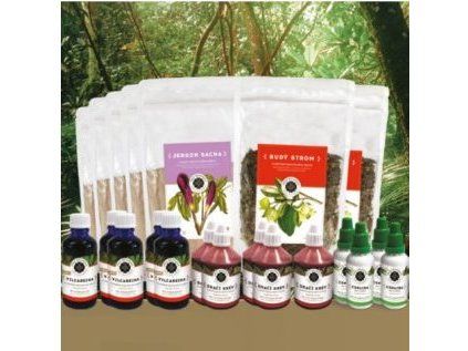 amazonky protokol 1 inca botanica