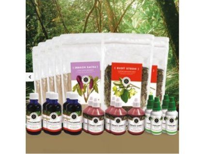 amazonky protokol 2 inca botanica