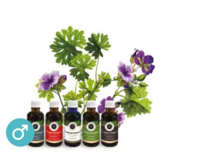 Hormonální kúra muži Inca Botanica