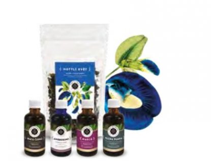 Meditace Inca Botanica