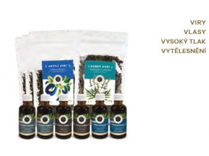 Vytělesnění Inca Botanica