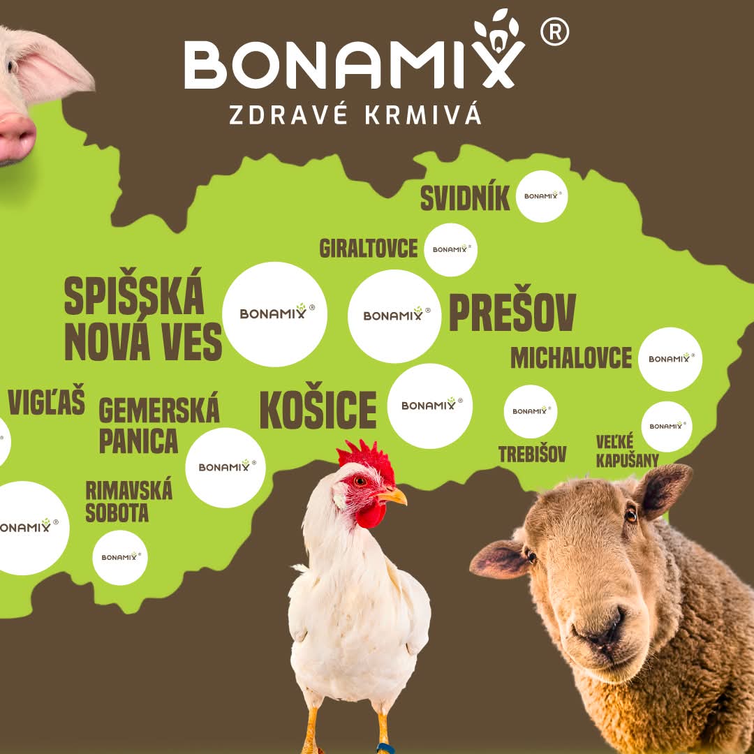 Bonamix