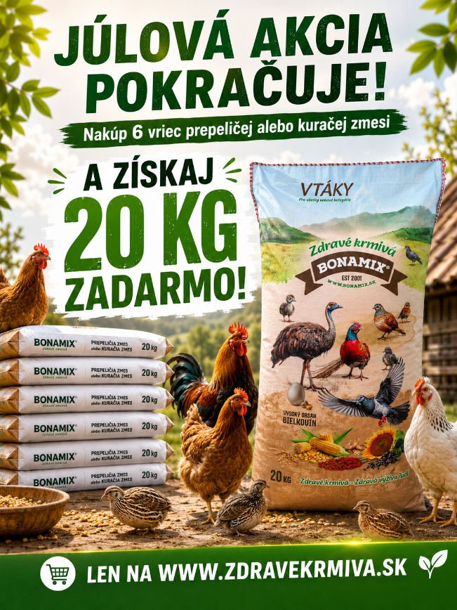 Klietka