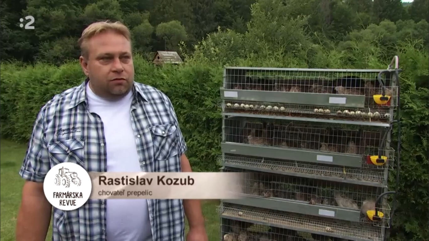 Chovateľská prepelic