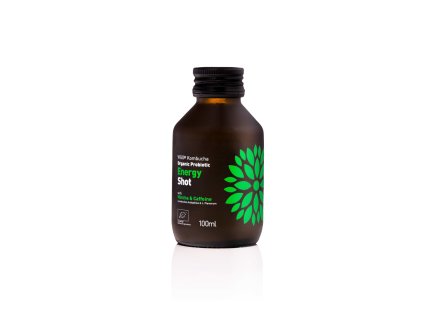 Vigo Kombucha SHOT Energy BIO 100 ml
