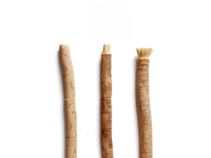 Yoni Přírodní zubní kartáček Miswak