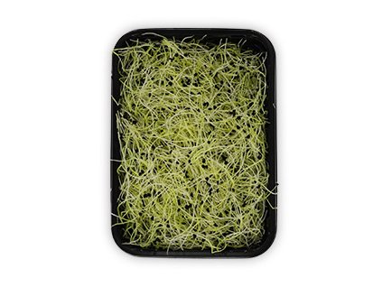 Výhonky cesnak 50g Happy Sprouts